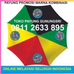 CV Payung Mas Sejahtera company logo