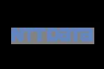 NTT DATA company icon