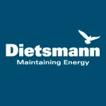 Dietsmann company icon