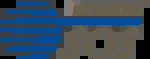 International SOS company icon