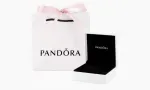 Pandora Warnet & Playstation company icon