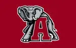 BAMA Nasional company icon